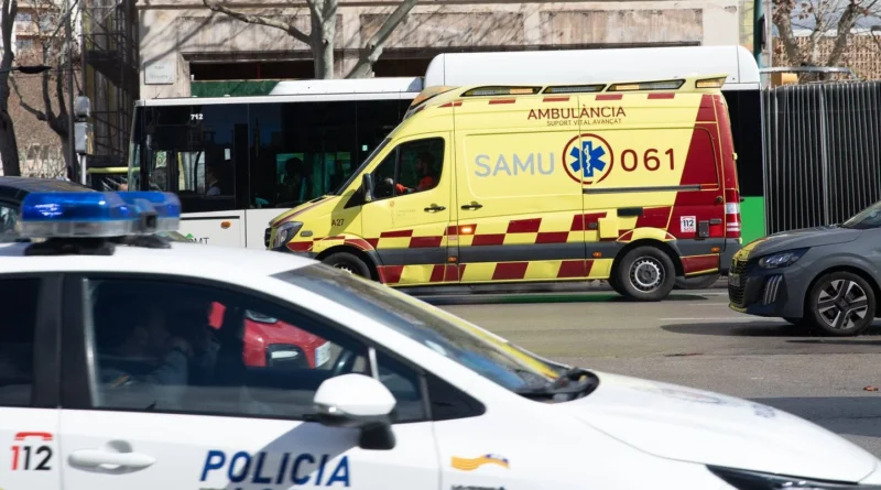 Jean-Michel Aulas promet de remplacer les animaux du zoo par des hologramme…