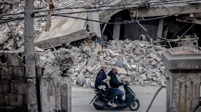 French diplomatic maneuvers to force Israel to stop its offensive in Lebanon