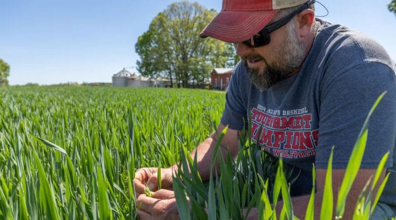 “Despite the repetition of crises, our food is still so dependent on fossil fuels”