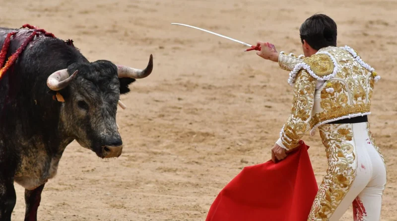 Former matador dies gored during preparations for traditional bullfight