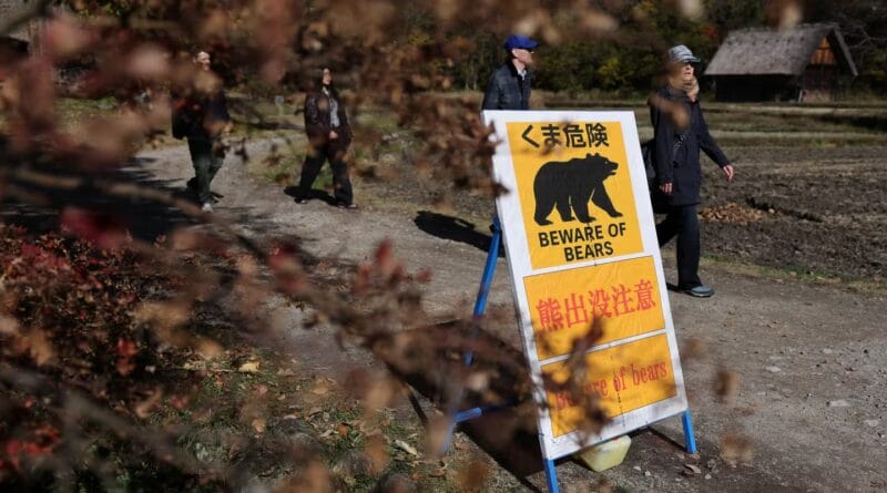 In northern Japan, the population must relearn how to live with the bear