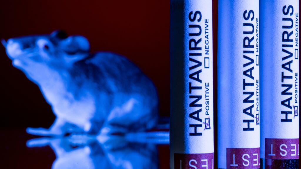 JUST IN: The EU rules out mutations in the hantavirus; the condition of the French patient worsens 2 000 B2J262D