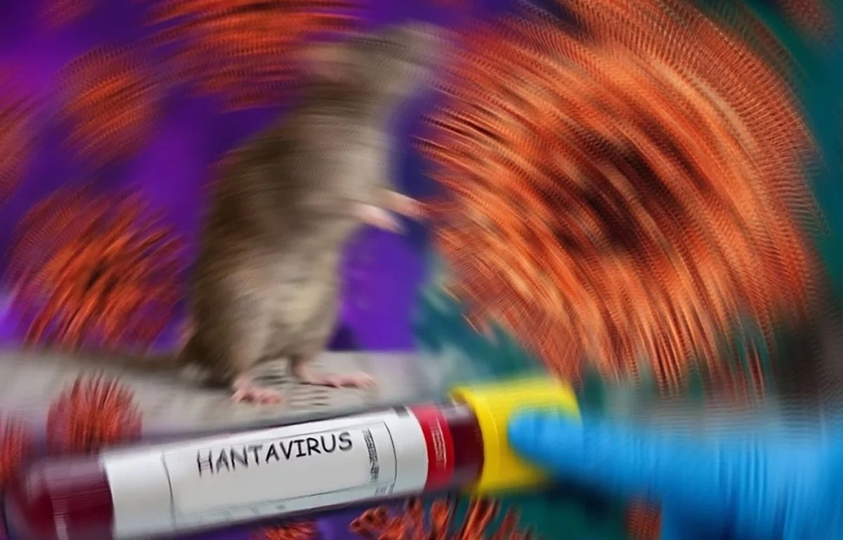 1200x768 des souris seraient relachees dans les villes par une ouverture a l arriere d une remorque