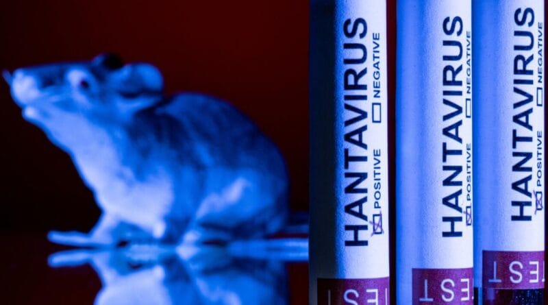 The EU rules out mutations in the hantavirus; the condition of the French patient worsens