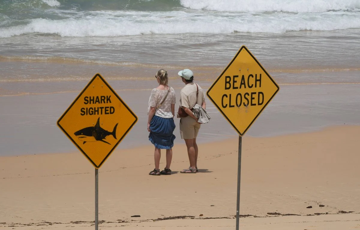 UPDATE: Diver killed by shark, fourth fatal attack of year in country 2 1200x768 un couple regarde la mer a north steyne beach a sydney le mardi 20 janvier 2026 apres une s