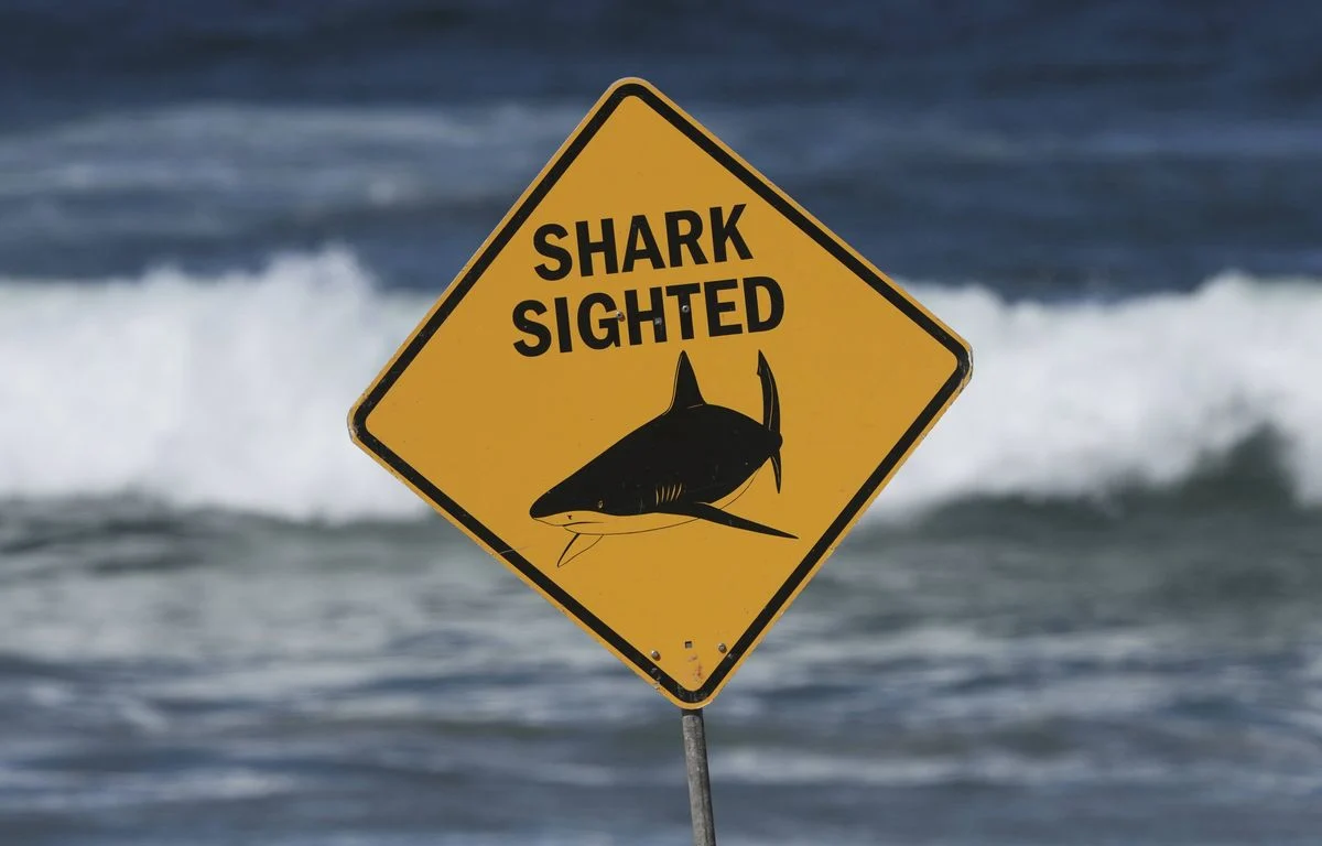 1200x768 un panneau est visible sur le site d une attaque mortelle de requin a dee why beach a sydne