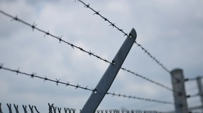 Une Brésilienne se fait passer pour une fille de 12 ans pour être adoptée