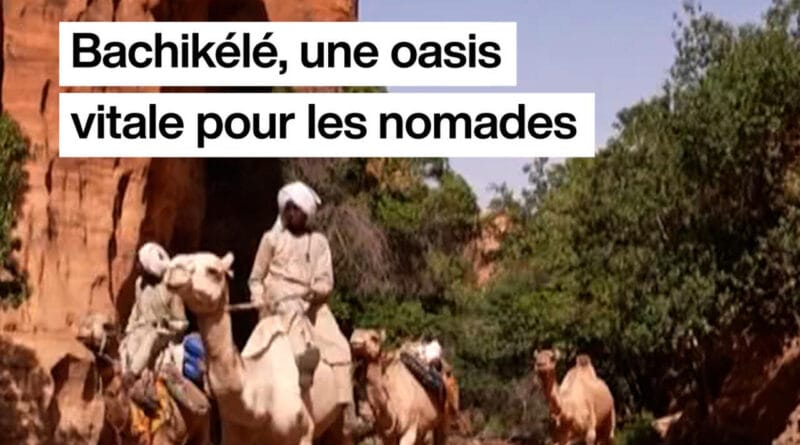 Chad: Bachikélé, a vital oasis for nomads