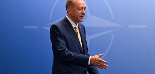 Türkiye: 178 people taken into custody before NATO summit in Ankara
