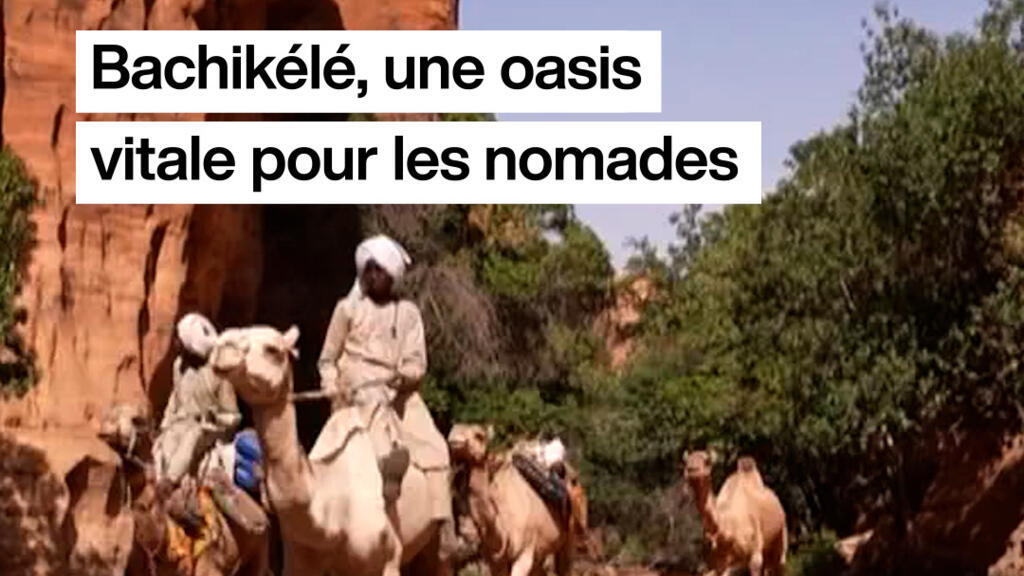 TCHAD VIGNETTE JTA 00 00 00 00 Still002