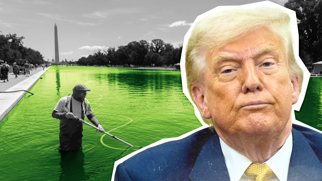 JUST IN: How Donald Trump got caught in Washington's reflecting pool 2 trump pool