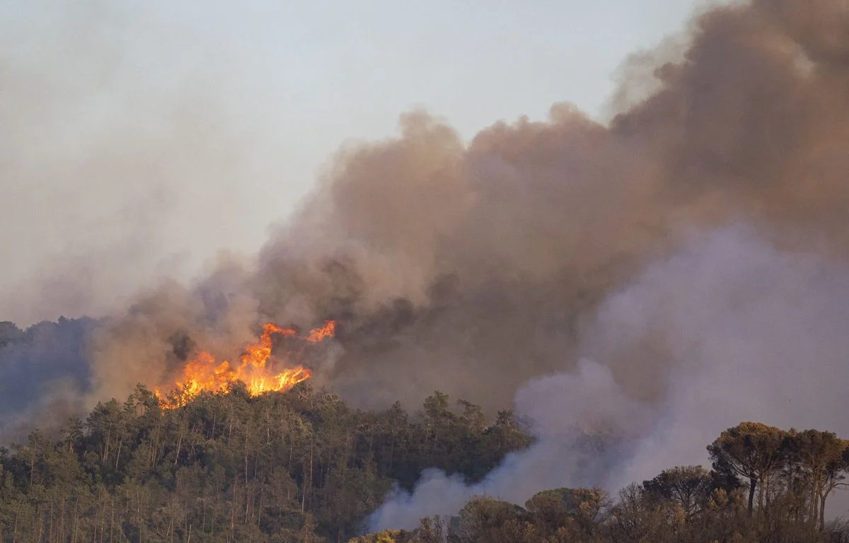 UPDATE: The fire near the Costa Brava, partly contained, has already burned 2,200 hectares 2 1200x768 l incendie a deja reduit en fumee 2 200 hectares sur la costa brava