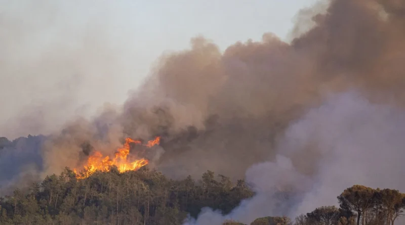 The fire near the Costa Brava, partly contained, has already burned 2,200 hectares