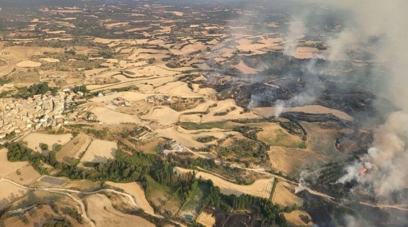 It has devastated more than a sixth of the 75,000 hectares burned in 2026